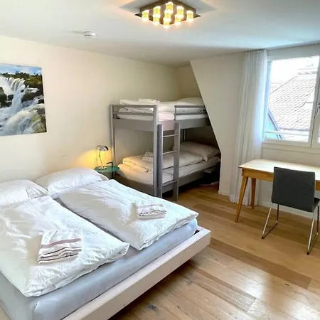 Feriehus Swisshut Penthouse 10min West Station - Apart. Blume 2 *