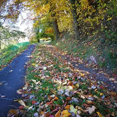 Penthouse Alps Scenic Views And Concierge By Swisshut Dom wakacyjny *