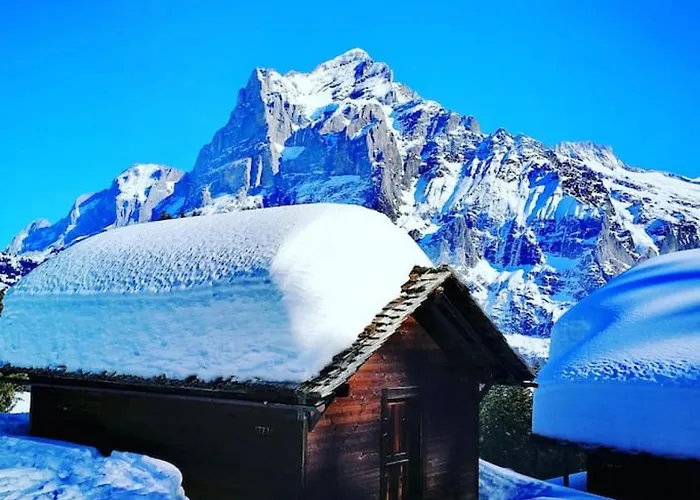 Dom wakacyjny Penthouse Alps Scenic Views And Concierge By Swisshut