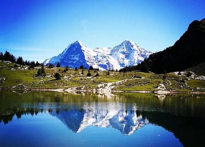 Vakantiehuis Penthouse Alps Scenic Views And Concierge By Swisshut *