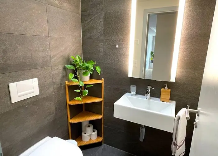 Vakantiehuis Penthouse Alps Scenic Views And Concierge By Swisshut