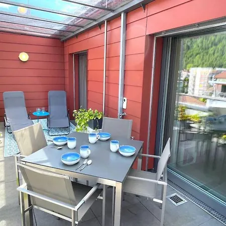 度假居 Swisshut Penthouse 10min West Station - Apart. Blume 2 因特拉肯